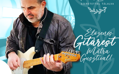 Élőzenés Gitárest